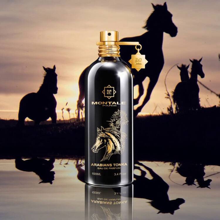 Arabians Tonka Montale – Island Perfume Bar - Main Image